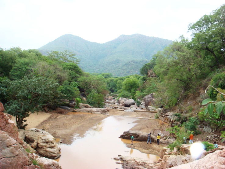 10. Amirthi Zoological Park